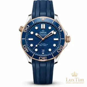 Omega Seamaster Diver 300M Montre Automatique 42 mm 210.22.42 Cadran Bleu